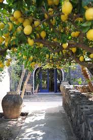 Hotel Signum Salina Italy Gartenprodukte Italien Garten