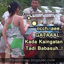 Dp Bbm Gatal Bahasa Banjar Lucu Gambar Lucu Lucu Video Humor