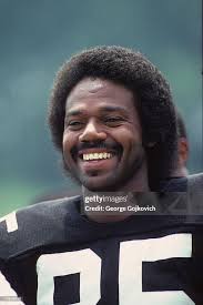 Posting a random Steeler every day until kickoff or I forget