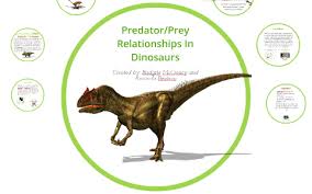 Predator Prey Relationships By An orca hunts seals and walruses in the sea. predator prey relationships by