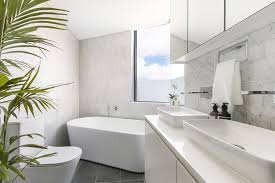 the pros and cons of having a toilet in