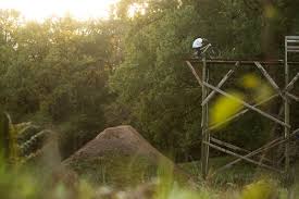 B Side Zum Sensationellen My War Und Taglich Sturzt Das Murmeltier Mtb News De In 2020 Side Mtb Murmeltier