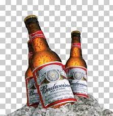 Budweiser Beer Anheuser Busch Inbev Distilled Beverage Png Clipart Alcohol Alcoholic Beverage Alcoholic Drink Anheu Budweiser Beer Beer Distilled Beverage