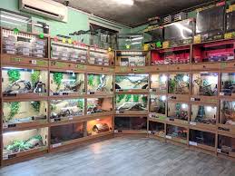 Inside a big city or large town, there really should be dozens of pet stores situated near every residential location. Pet Shop Birmingham Reptiles Pets Birmingham Reptiles And Pets
