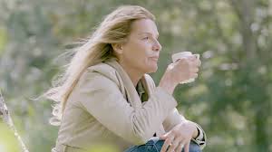 Ik kies voor het cda. Cda Steekt Forse Bedragen In Advertenties Met Lucille Werner