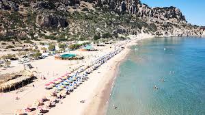 Image result for Thamnosma rhodesica