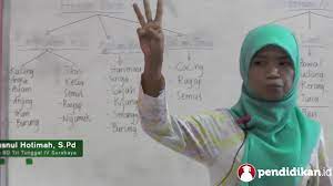 6 fakta perbedaan kodok dan katak serupa tapi tak sama. Kelas 04 Ips Karakteristik Tempat Hidup Hewan Video Pendidikan Indonesia Youtube