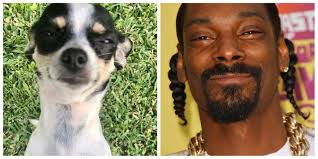 Snoop Dog at the grand final