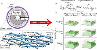 Pdf | plant cell walls constitute the extracellular matrix surrounding plant cells and are composed mainly of polysaccharides. Mimicking The Humidity Response Of The Plant Cell Wall By Using Two Dimensional Systems The Critical Role Of Amorphous And Crystalline Polysaccharides Semantic Scholar