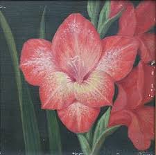 Image result for Gladiolus microspicatus