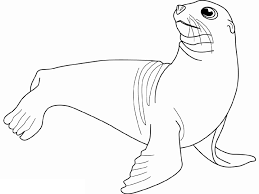 Maybe you would like to learn more about one of these? Seal 16314 Animals Printable Coloring Pages
