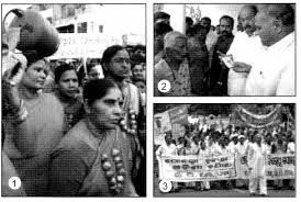 What is a political party? Mcq Questions For Class 10 Civics Chapter 6 Political Parties With Answers