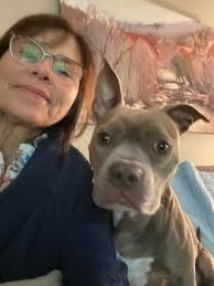 We adopted Bud, 17 months ago! He has come such a long way! He's a smart,  loving big baby! A daddy's boy for sure! He loves his new brother!(gsd) We  couldn't of