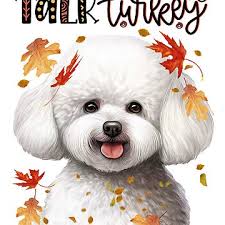 Bichon Frise Funny Thanksgiving Dog" Sticker for Sale by Doreen Erhardt