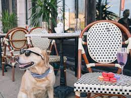 Many of these pubs are located near dog friendly accommodation, too. The Best Dog Friendly Restaurants Bars Near Me Saved By Dogs