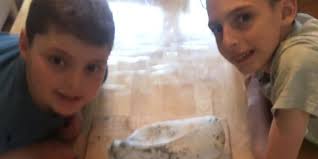 Des étudiants fébriles avec le retour de leur bal