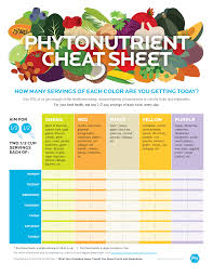 Precision Nutrition Colors Checklist Precision Nutrition Phytonutrients Nutrition