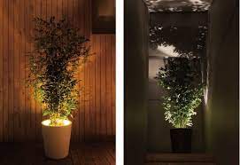 Indoor Plant Accent Light Google Search Pot Lights Plant Lighting Planters