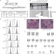 Human ccr5 is 352 amino acids (aa) in length with a predicted molecular weight of 40 kda. Ccr5 Disruption In Induced Pluripotent Stem Cells Using Crispr Cas9 Provides Selective Resistance Of Immune Cells To Ccr5 Tropic Hiv 1 Virus Molecular Therapy Nucleic Acids