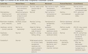 Image result for Neurologic Lesion Localization
