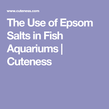 The Use Of Epsom Salts In Fish Aquariums Cuteness Aquarium Fish Epsom Salt Aquarium