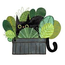 Pin On Cats Illustrated