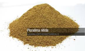 Image result for Picralima nitida