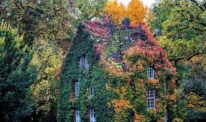Eingang nur über sonnenstraße möglich) Botanischer Garten Der Justus Liebig Universitat Giessen Mamilade Ausflugsziele