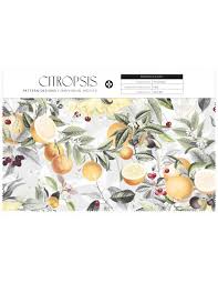 Image result for Citropsis