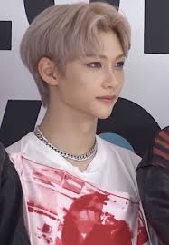 From latin fēlīx (literally happy, lucky). File 190824 Stray Kids Felix 01 Png Wikimedia Commons