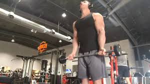 This is a great exercise for those of you who want to really develop the front of the shoulders. Underhand Front Raise How To Benefits Muscles Worked Alternatives