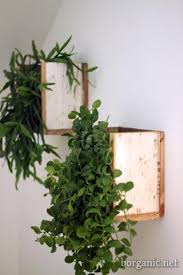 Many designs available from plant stands to hanging plant pots and large planters. Pin By Charity Medis On For The Home Wall Planters Indoor Wall Planter Hanging Plants