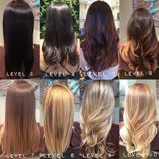 Aveda Color Chart Google Search Aveda Hair Color