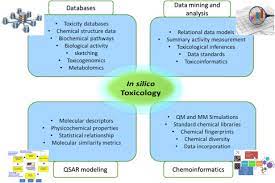 In Silico Approaches For Predictive Toxicology Sciencedirect