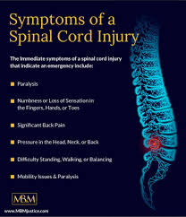 Image result for Spinal Trauma