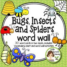 bugs and insects plus spiders word wall plus vocabulary chart worksheets