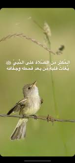 Pin By 3no1981 On دروس نوف المنيفي Animals Bird