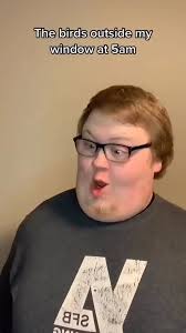 Birds outside my window at 5 am