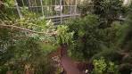 The Garden Gurus - Hortus Botanicus - YouTube