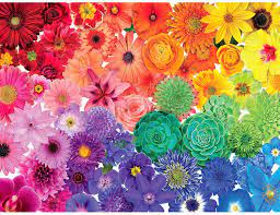With the best free online jigsaw, you'll never lose a piece under the table again! Buy Genion Jigsaw Puzzles For Adults 1000 Piece Rainbow Flowers Puzzle Game Large 1000 Pcs Artwork Gifts For Adults Teens Families 27 56 X 19 69 Upgraded Online In Indonesia B08pvdkgqr