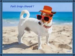 Cette version longue est construite sur un film et plusieurs documentaires autour de sujets de société. Resultat De Recherche D Images Pour Merci Pour Ce Repas Et Cet Apres Midi Gif Meteo Images