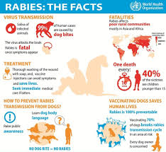 People who live there have adjusted to it, but they can come carnivores in malaysia. 21 Year Old Man Latest Rabies Victim
