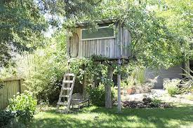 Sonoma House Tour A Cup Of Jo House Tours Backyard House Yard
