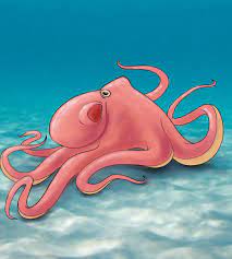 How To Draw An Octopus Draw Central Octopus Drawing Drawings Octopus