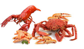 Crustaces Fruits De Mer