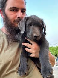 Charcoal lab name suggestions without Smokey?