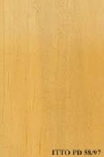 Image result for Ricinodendron