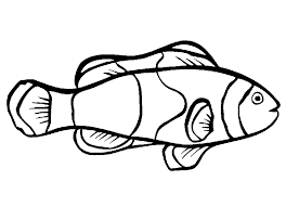 fish coloring pages ile ilgili görsel sonucu
