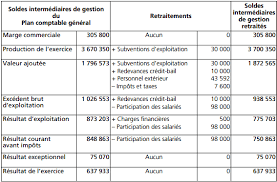 Le calcul des soldes intermédiaires de gestion se fait en plusieurs étapes : Epingle Sur Ratio
