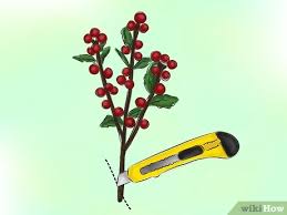 Berry season is beginning in oregon. How To Preserve Berries For Floral Arrangements 7 Steps
